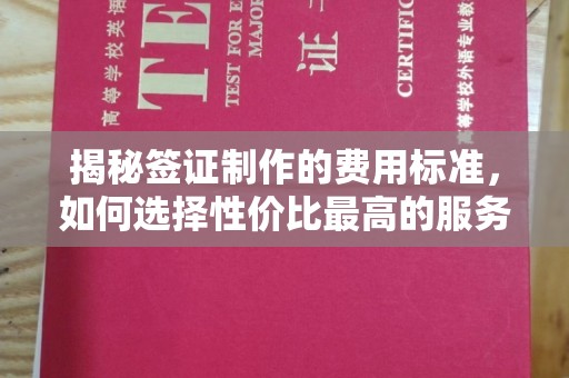 信宜揭秘签证制作的费用标准，如何选择性价比最高的服务？
